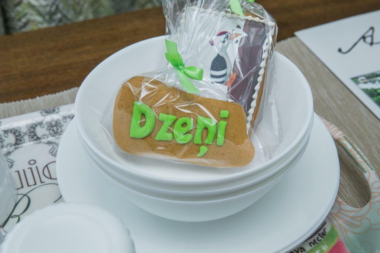 Dzeni Pensionat Amatciems Exteriör bild
